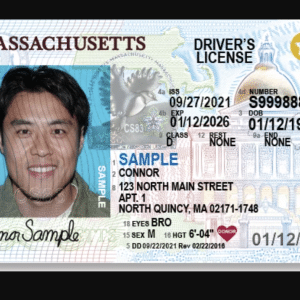 Massachusetts Driver's License and ID Card